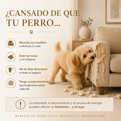 Tapete de Olfateo y Rompecabezas DogSense